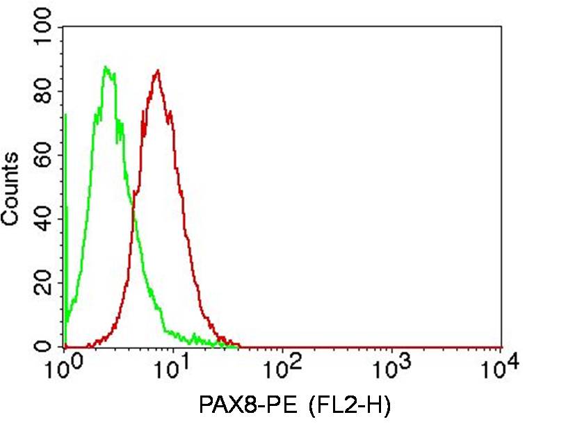 Monoclonal Antibody to PAX8 (Clone:ABM5F33 )