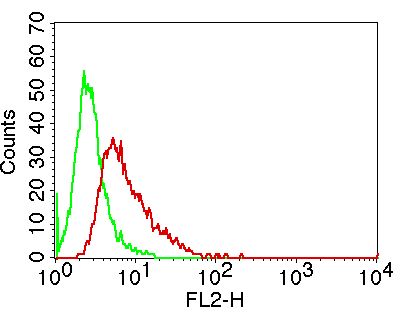 Monoclonal antibody to MSi-2  (Clone: ABM5A48 )