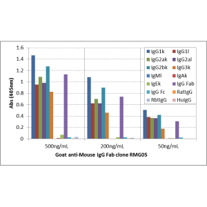 Biotinylated Recombinant Goat Monoclonal Antibody  to Mouse IgG Fab (Clone: RMG05)(Discontinued)