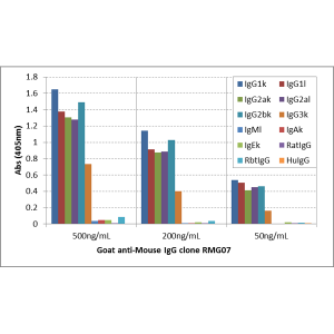 Biotinylated Recombinant Goat Monoclonal Antibody  to Mouse IgG (Clone: RMG07)(Discontinued)