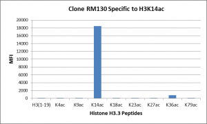 Recombinant Rabbit Monoclonal Antibody  to Acetylated Histone H3 Lysine 14 (K14ac) (Clone: RM130)(Discontinued)