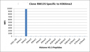 Recombinant Rabbit Monoclonal Antibody  to Dimethylated Histone H3 Lysine 4, H3K4me2 (Clone: RM135)(Discontinued)