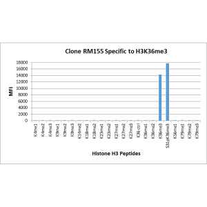 Recombinant Rabbit Monoclonal Antibody  to Trimethylated Histone H3 Lysine 36, H3K36me3 (Clone: RM155)(Discontinued)