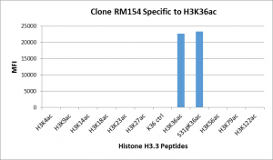 Recombinant Rabbit Monoclonal Antibody  to Acetylated Histone H3 Lysine 36 (K36ac) (Clone: RM154)(Discontinued)