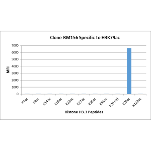 Recombinant Rabbit Monoclonal Antibody  to Acetylated Histone H3 Lysine 79 (K79ac) (Clone: RM156)(Discontinued)