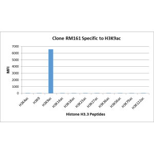 Recombinant Rabbit Monoclonal Antibody  to Acetylated Histone H3 Lysine 9 (K9ac) (Clone: RM161)(Discontinued)