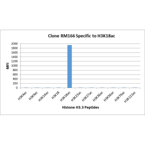 Recombinant Rabbit Monoclonal Antibody  to Acetylated Histone H3 Lysine 18 (K18ac) (Clone: RM166)(Discontinued)