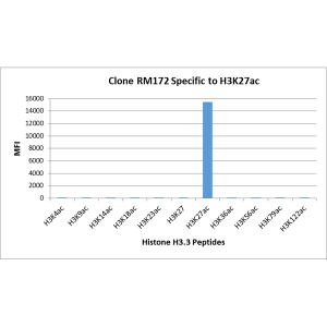 Recombinant Rabbit Monoclonal Antibody  to Acetylated Histone H3 Lysine 27 (K27ac) (Clone: RM172)(Discontinued)