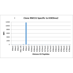 Recombinant Rabbit Monoclonal Antibody  to Dimethylated Histone H3 Lysine 9, H3K9me2 (Clone: RM151)(Discontinued)