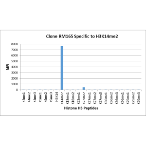 Recombinant Rabbit Monoclonal Antibody  to Dimethylated Histone H3 Lysine 14, H3K14me2 (Clone: RM165)(Discontinued)