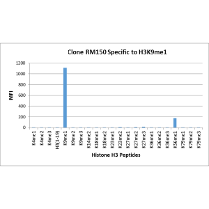 Recombinant Rabbit Monoclonal Antibody  to Monomethylated Histone H3 Lysine 9, H3K9me1 (Clone: RM150)(Discontinued)