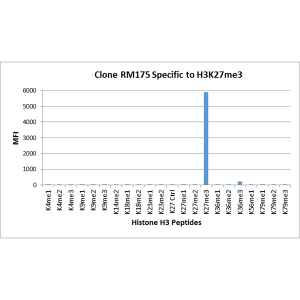 Recombinant Rabbit Monoclonal Antibody  to Trimethylated Histone H3 Lysine 27, H3K27me3 (Clone: RM175)(Discontinued)