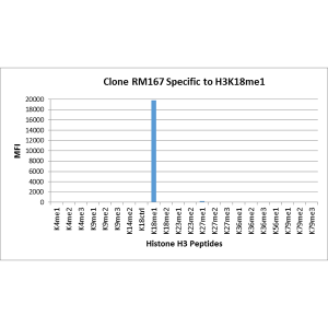 Recombinant Rabbit Monoclonal Antibody  to Monomethylated Histone H3 Lysine 18, H3K18me1 (Clone: RM167)(Discontinued)