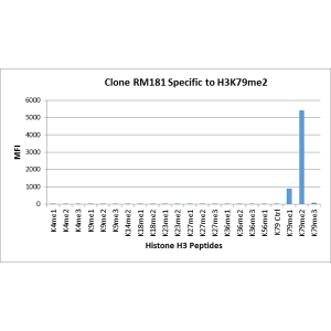 Recombinant Rabbit Monoclonal Antibody  to Dimethylated Histone H3 Lysine 79, H3K79me2 (Clone: RM181)(Discontinued)