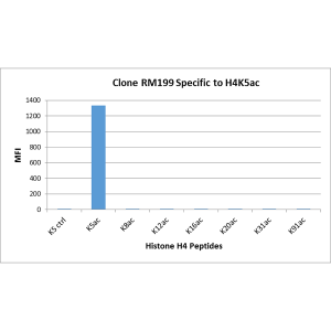 Recombinant Rabbit Monoclonal Antibody  to Acetylated Histone H4 Lysine 5 (K5ac) (Clone: RM199)(Discontinued)