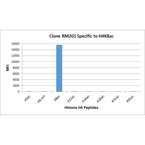 Recombinant Rabbit Monoclonal Antibody  to Acetylated Histone H4 Lysine 8 (K8ac) (Clone: RM201)(Discontinued)