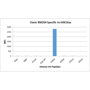 Recombinant Rabbit Monoclonal Antibody  to Acetylated Histone H4 Lysine 16 (K16ac) (Clone: RM204)(Discontinued)