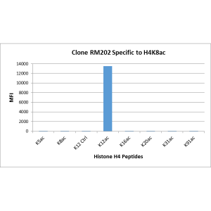 Recombinant Rabbit Monoclonal Antibody  to Acetylated Histone H4 Lysine 12 (K12ac) (Clone: RM202)(Discontinued)