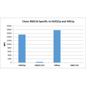 Recombinant Rabbit Monoclonal Antibody  to Phospho-Histone H4 (Ser1), H2A/H4S1p (Clone: RM216)(Discontinued)