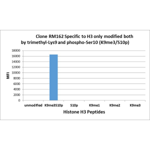 Recombinant Rabbit Monoclonal Antibody  to Trimethyl-Phospho-Histone H3 (Lys9/Ser10) (Clone: RM162)(Discontinued)