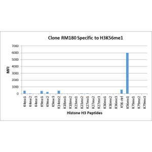 Recombinant Rabbit Monoclonal Antibody  to Monomethylated Histone H3 Lysine 56, H3K56me1 (Clone: RM180)(Discontinued)