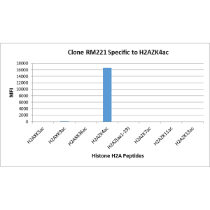 Recombinant Rabbit Monoclonal Antibody  to Acetyl-Histone H2AZ (Lys4) (Clone: RM221)(Discontinued)