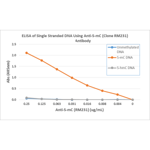 Recombinant Rabbit Monoclonal Antibody  to 5-methylcytosine (5-mC)(Clone: RM23)(Discontinued)