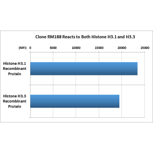 Recombinant Rabbit Monoclonal Antibody  to Pan Histone H3 (Clone: RM188)(Discontinued)