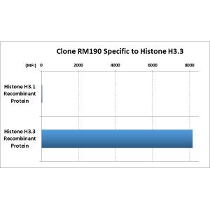 Recombinant Rabbit Monoclonal Antibody  to Histone H3.3 (Clone: RM190)(Discontinued)