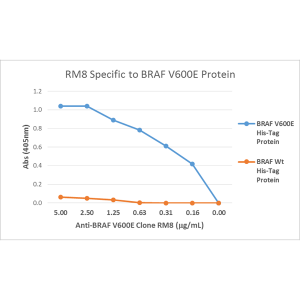 Recombinant Rabbit Monoclonal Antibody  to BRAF (V600E) Mutant (Clone: RM8)(Discontinued)