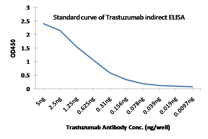 Anti Trastuzumab antibody