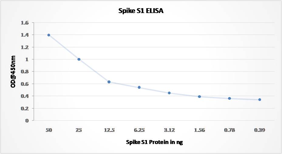 SARS CoV2 Spike S1 Antibody