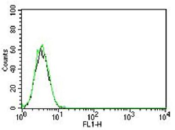 Rabbit IgG Isotype Control- FITC Conjugated