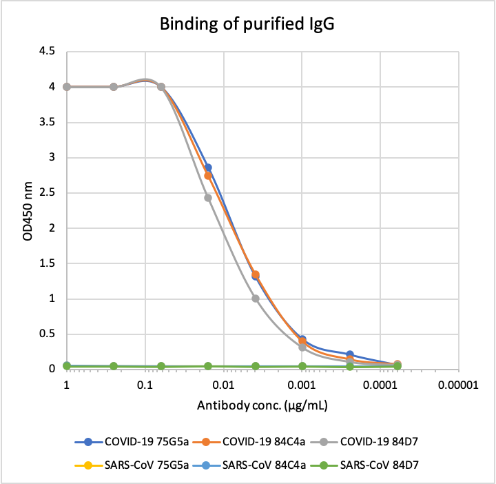 Anti SARS-CoV-2 Nucleocapsid rabbit mAb (Clone:75G5a)