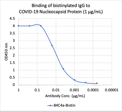 Anti SARS-CoV-2 Nucleocapsid Rabbit mAb (Clone:84C4a) Biotin Conjugate