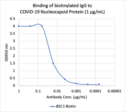 Anti SARS-CoV-2 Nucleocapsid Rabbit mAb (Clone:85C1) Biotin Conjugate