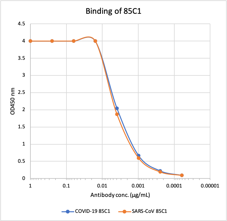 Anti SARS-CoV-2 Nucleocapsid rabbit mAb (Clone:85C1)