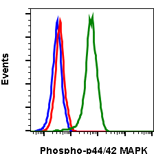 Phospho-p44/42 MAPK (Erk1/2) (Thr202/Tyr204) (Clone: A11) rabbit mAb