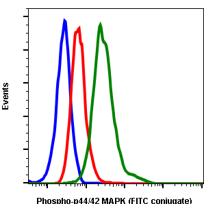 Phospho-p44/42 MAPK (Erk1/2) (Thr202/Tyr204) (Clone: A11) rabbit mAb FITC conjugate