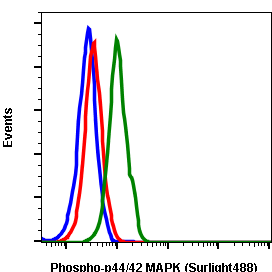 Phospho-p44/42 MAPK (Erk1/2) (Thr202/Tyr204) (Clone: A11) rabbit mAb SureLight 488 conjugate