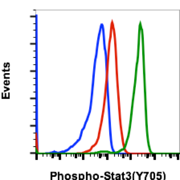 Phospho-Stat3 (Tyr705) (Clone: B12) rabbit mAb