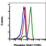 Phospho-Stat3 (Tyr705) (Clone: B12) rabbit mAb PE conjugate