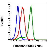 Phospho-Stat3 (Tyr705) (Clone: B12) rabbit mAb FITC conjugate