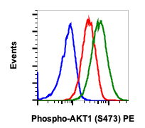 Phospho-Akt1 (Ser473) (Clone: C7) rabbit mAb PE conjugate