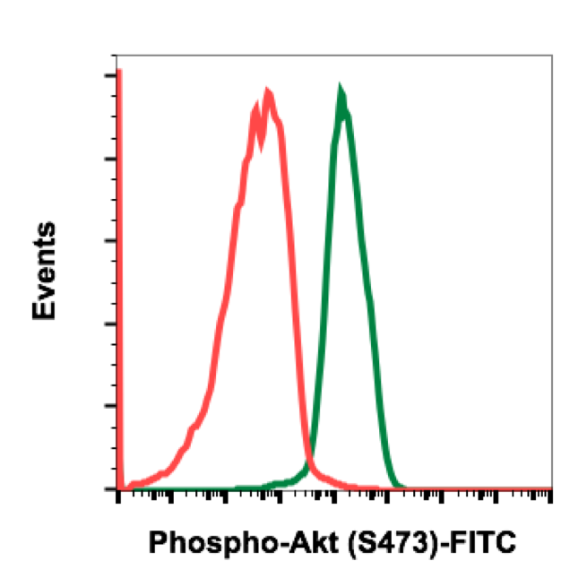 Phospho-Akt1 (Ser473) (Clone: C7) rabbit mAb FITC conjugate