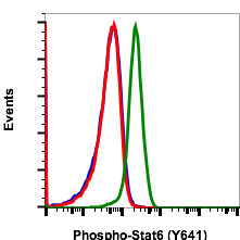 Phospho-Stat6 (Tyr641) (Clone: G12) rabbit mAb FITC conjugate