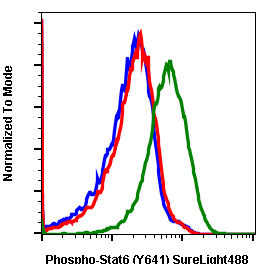 Phospho-Stat6 (Tyr641) (Clone: G12) rabbit mAb SureLight 488 conjugate