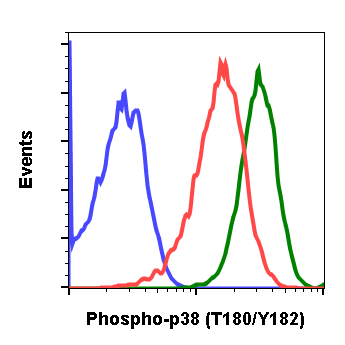 Phospho-p38 MAPK (Thr180/Tyr182) (Clone: E3) rabbit mAb