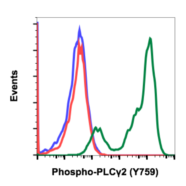 Phospho-PLCg2 (Tyr759) (Clone: G3) rabbit mAb