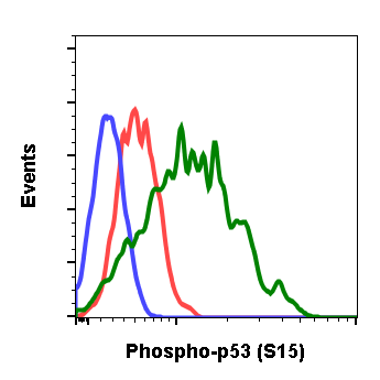 Phospho-p53 (Ser15) (Clone: 1C11) rabbit mAb